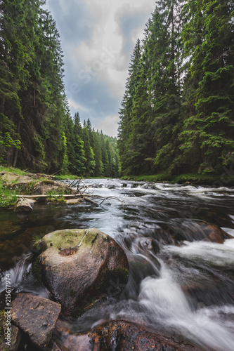 Mountain river flowing in a deep green forest. Long exposure  water flow in motion. Creek in deep Alaska like forrest.