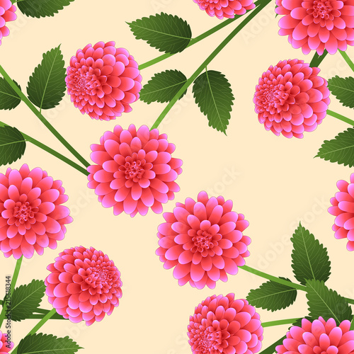 Fototapeta Naklejka Na Ścianę i Meble -  Pink Dahlia on Beige Ivory Background