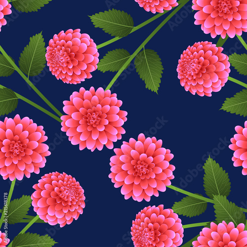 Fototapeta Naklejka Na Ścianę i Meble -  Pink Dahlia on Navy Blue Background.