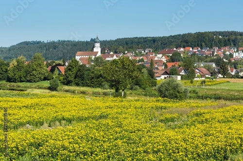 Ausblick auf Laiz, Ortsteil der Stadt Sigmaringen an der Donau (Hohenzollern)