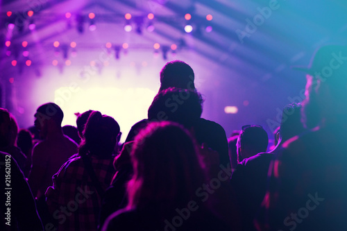 Concert crowd at summer festival 