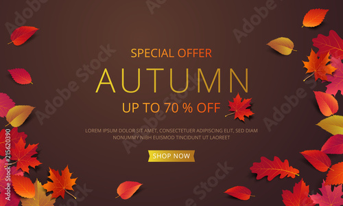 Autumn sale banner layout template decorate with maple and realistic leaves in warm color tone for shopping sale or promotion poster, leaflet and web banner. Vector illustration .