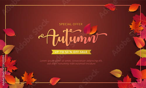 Autumn sale banner layout template decorate with maple and realistic leaves in warm color tone for shopping sale or promotion poster, leaflet and web banner. Vector illustration .