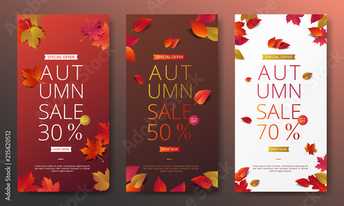 Autumn sale banner layout template decorate with maple and realistic leaves in warm color tone for shopping sale or promotion poster, leaflet and web banner. Vector illustration .