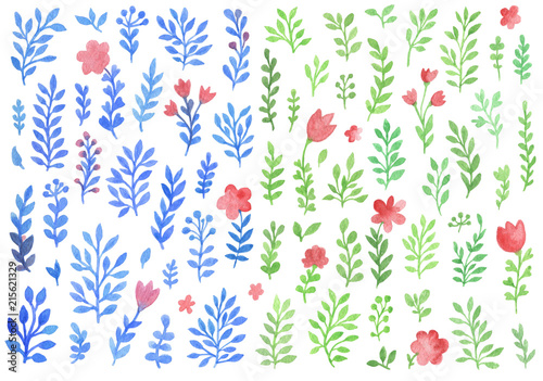 Watercolor flowers on a white background