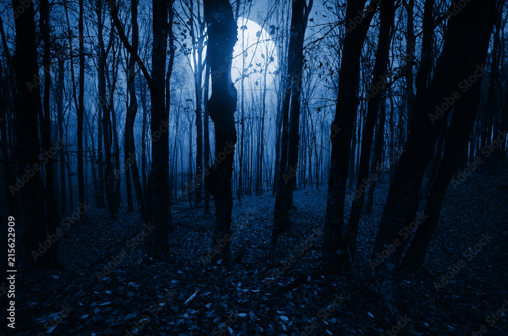 Fototapeta premium krajobraz w świetle księżyca w lesie horroru halloween