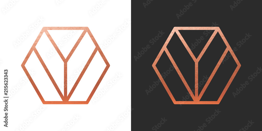 Copper geometric hexagon Logo Shape. Vector Icon. Copper geometric hexagon Logo Shape. Vector Icon.