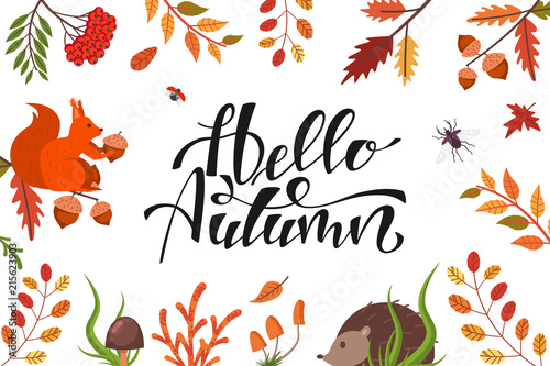 Hello autumn vector background with hand drawn text and fall leaves, animals and beetles.