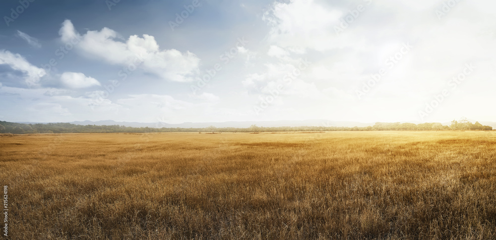 Landscape view of dry savanna