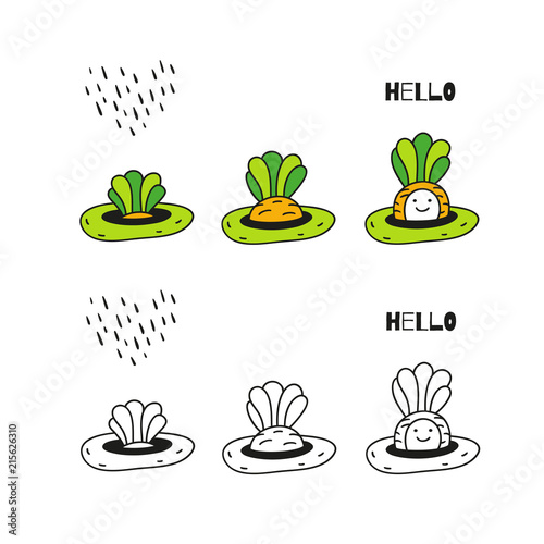 Hello little carrot!
