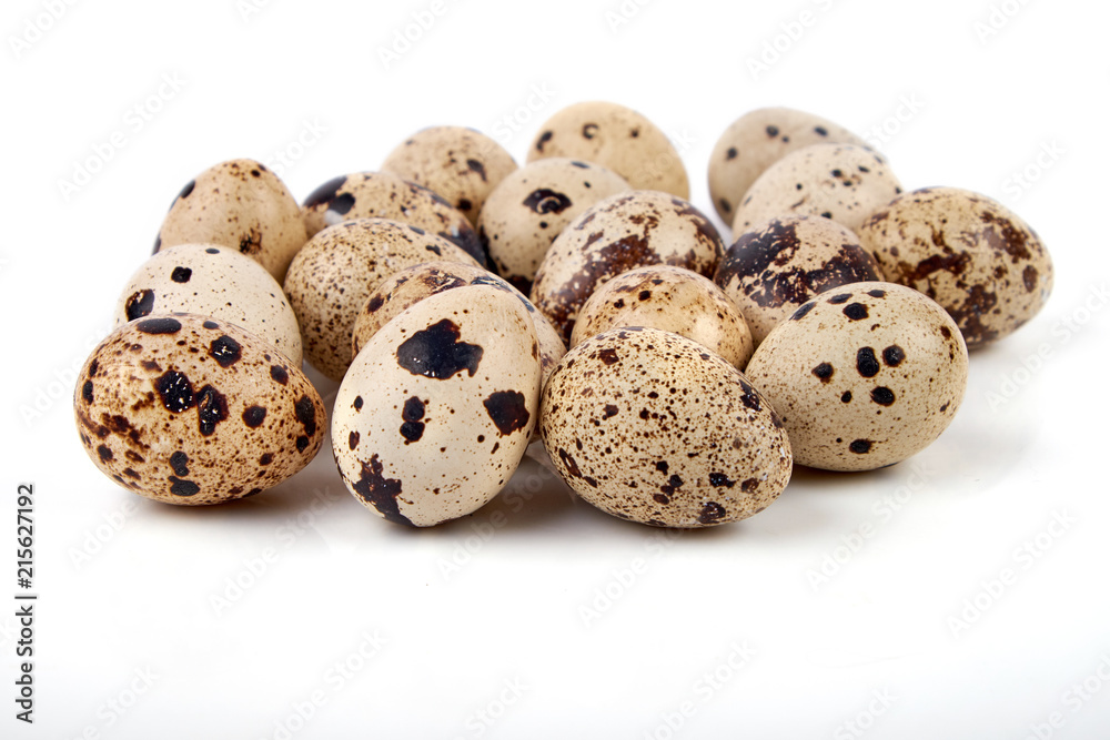 Quail egg on a white background Quail egg on a white background