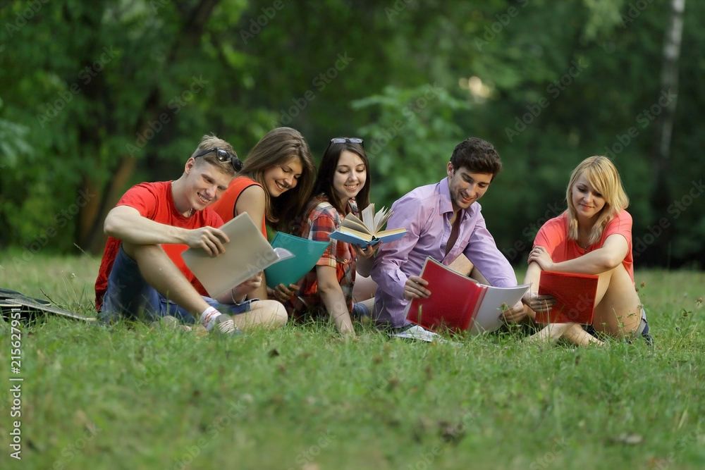 group of friends students sitting on the grass in the Park group of friends students sitting on the grass in the Park