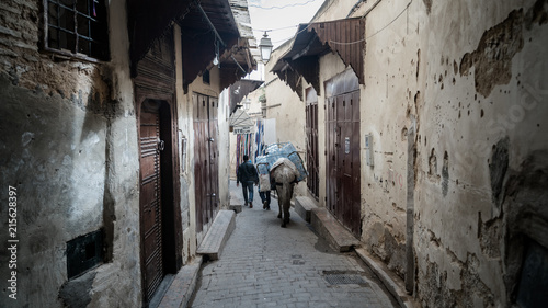 A horse carrying a load of merchandise in the Fez medina  Morocco