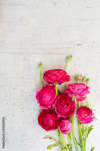 Flowers composition - ranunculus pink flowers on white wooden background. Flat lay, top view, copy space