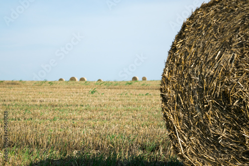 Straw bales in the fields after harvest