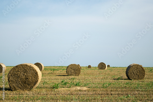 Field with harvested crops and straw in bales