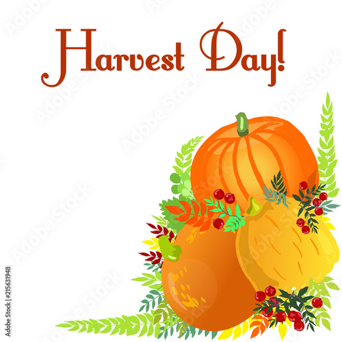 Happy harvest day. Collection of pumpkins and berries. Vector illustration.
