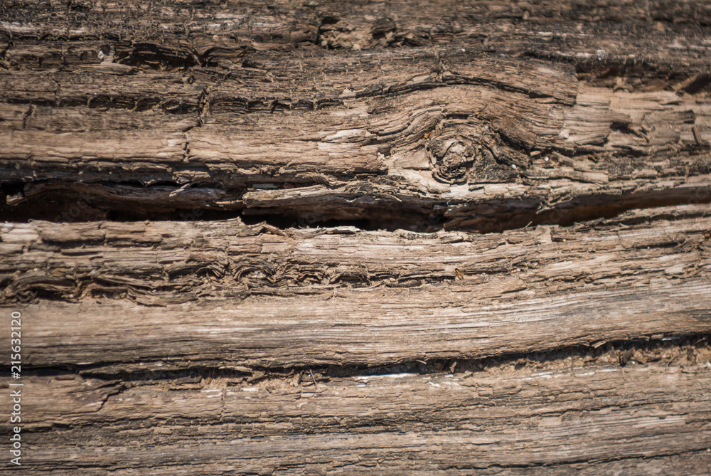 Naklejka premium Texture of old wood use as natural background