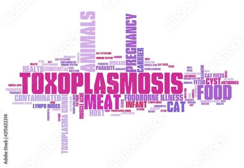 Toxoplasmosis photo