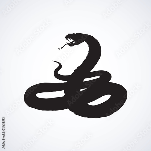 Snake. Vector drawing
