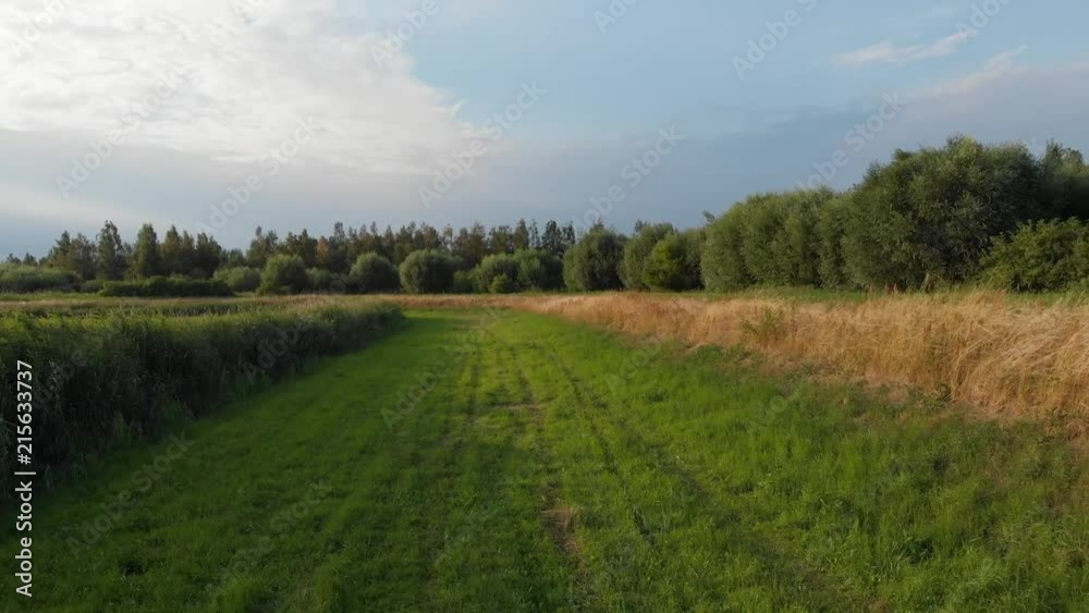 A flight on a meadow among trees. A flight on a meadow among trees.