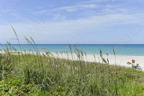 Sea with sandy beach and grass on a dune