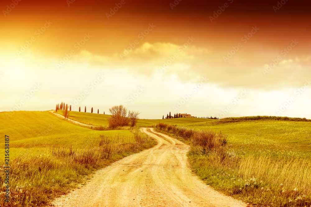 Fototapeta premium Autumn background of Tuscany