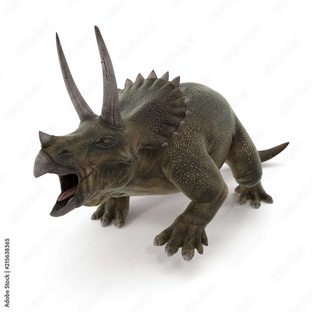 Triceratops dinosaur on white. 3D illustration