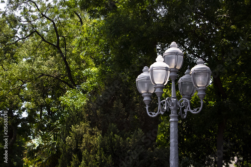 Vintage lamp in the park