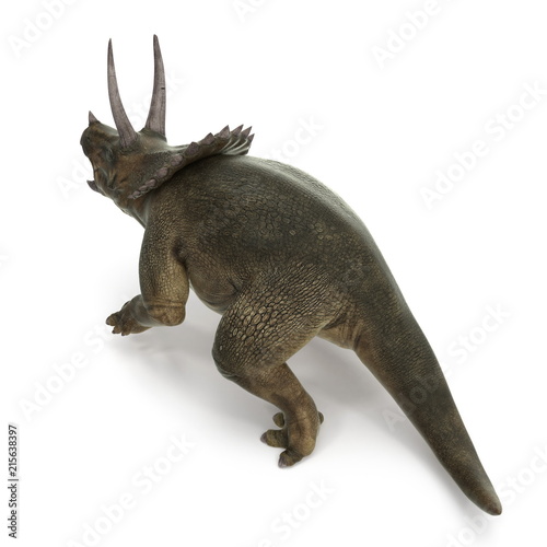 Triceratops dinosaur on white. 3D illustration