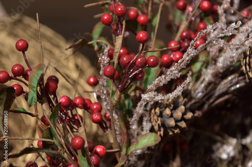 Christmas branches with red berries photo