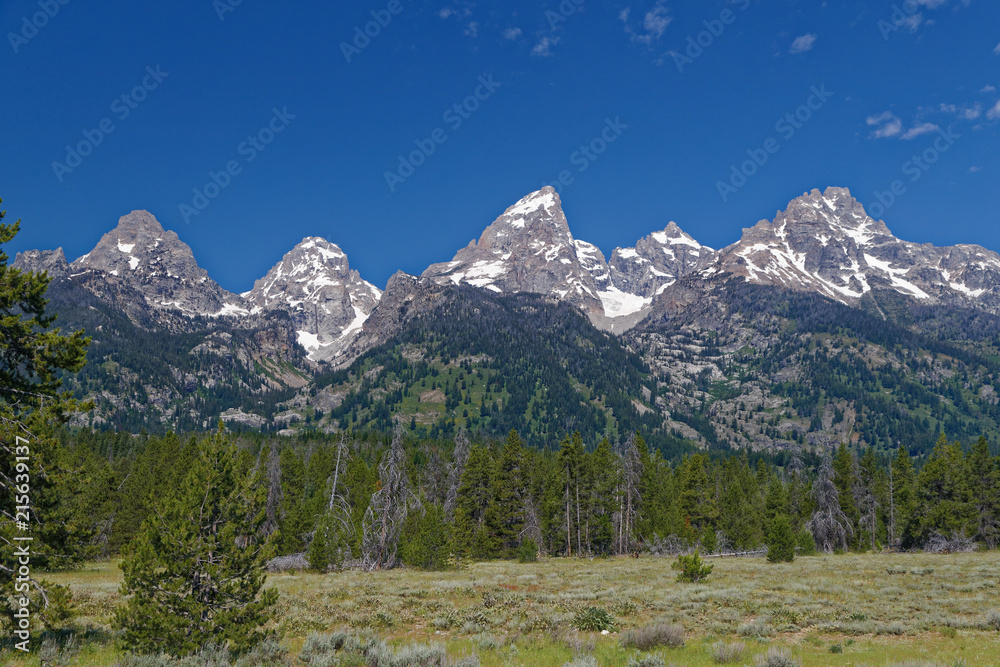 Obraz premium Cathedral Group