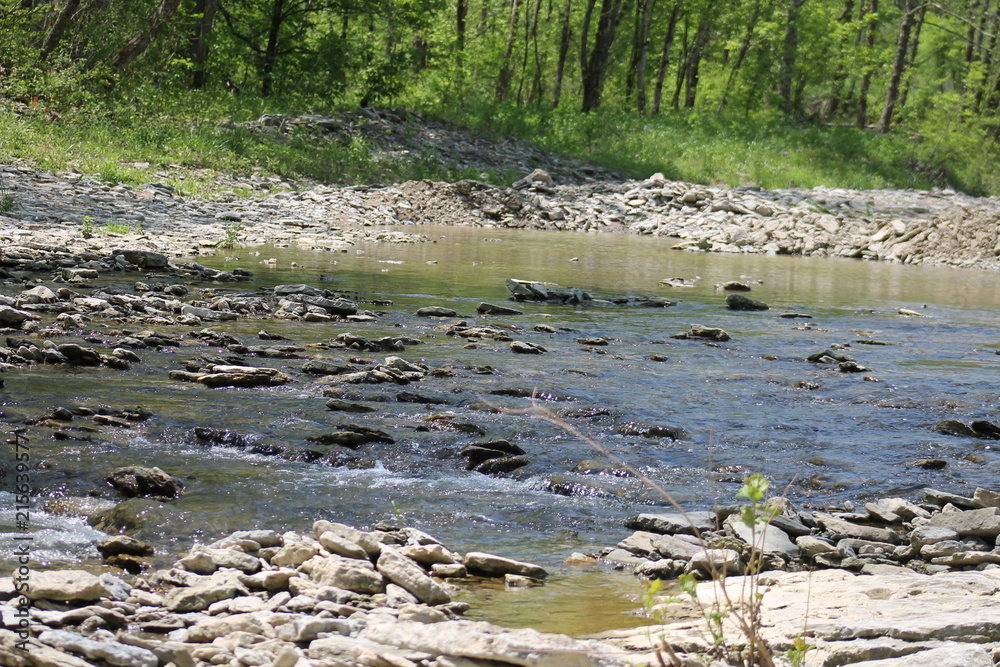 Backroads creek