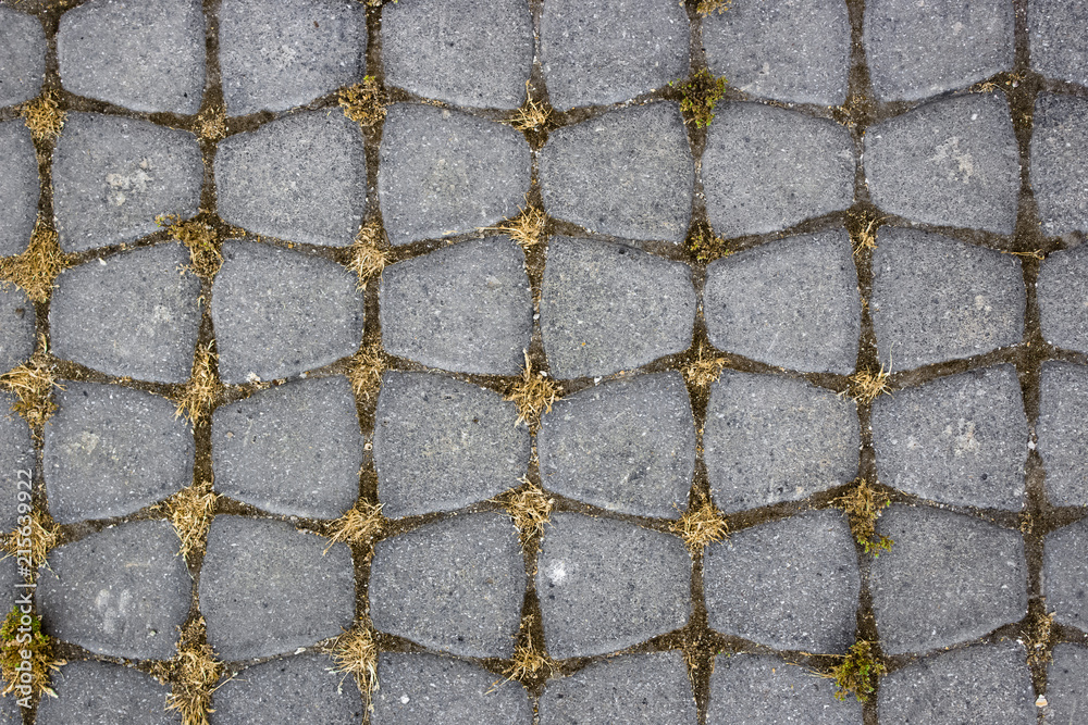 Obraz premium Gray paving stone background