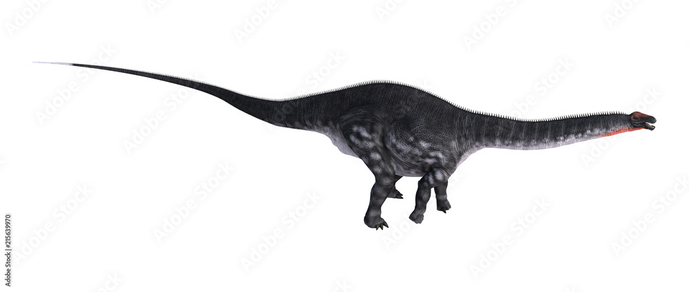 3D Rendering Dinosaur Apatosaurus on White 3D Rendering Dinosaur Apatosaurus on White