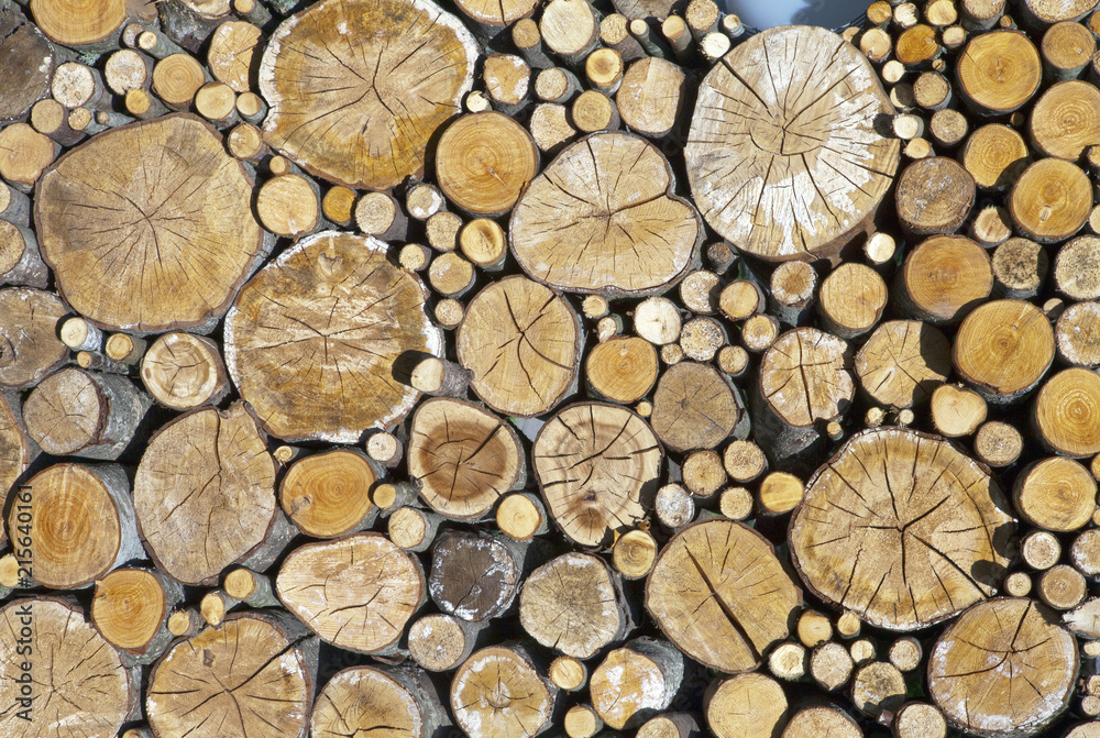 Woodpile. A log of the different size Woodpile. A log of the different size
