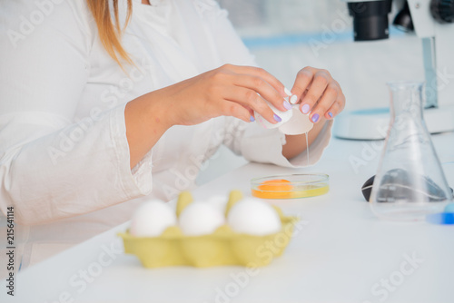 Eggs in quality inspection lab