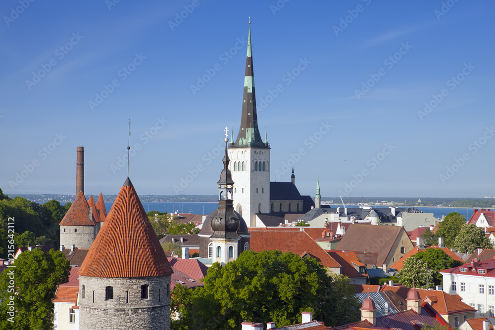 Fototapeta premium View of the old city Tallinn from the observation deck..