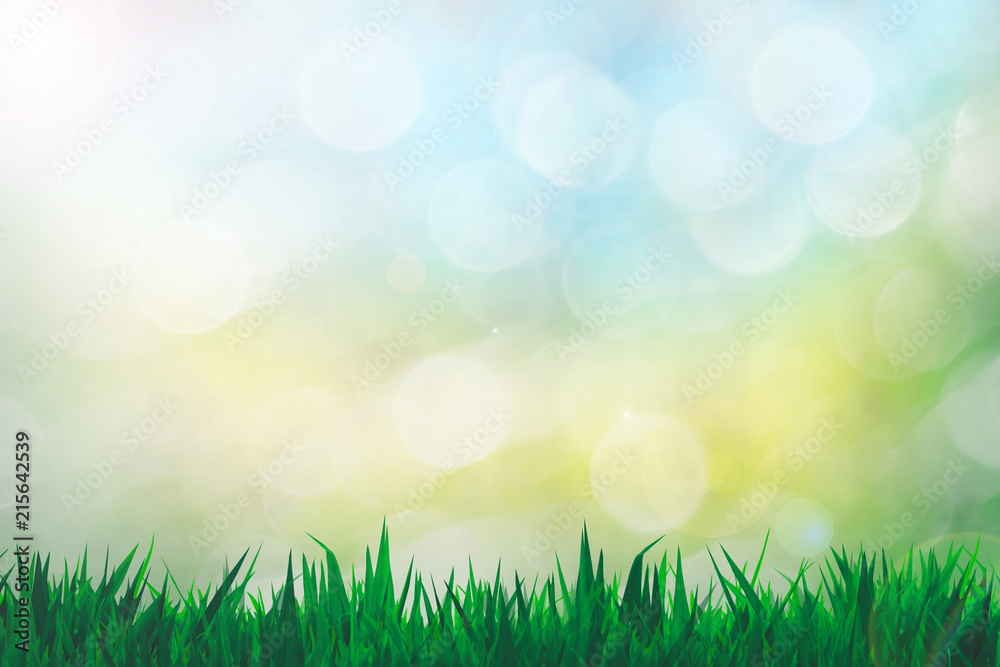 Bokeh Wallpaper and Grass Blue, yellow and green