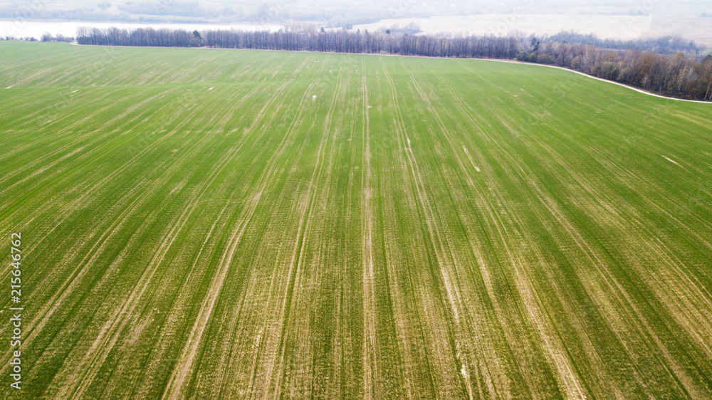 Aerial view of a freshly sown field