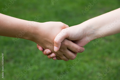 Handshake on a grass background. © afanasyeva_t