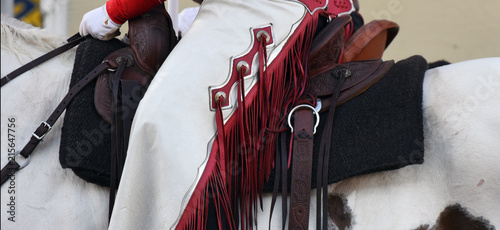 Tableau sur toile Red and white cowboy chaps