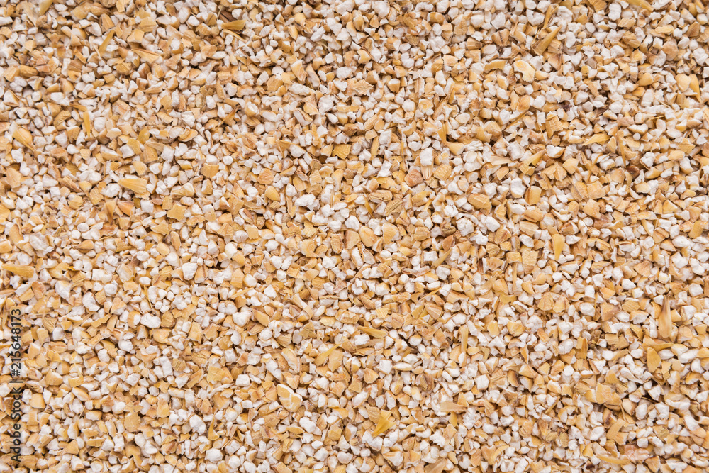 Barley seeds background Barley seeds background