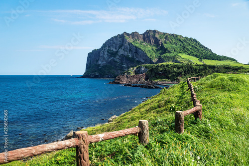 Grassfields and fence with view over ocean and Ilchulbong in the background, Seongsan, Jeju Island, South Korea