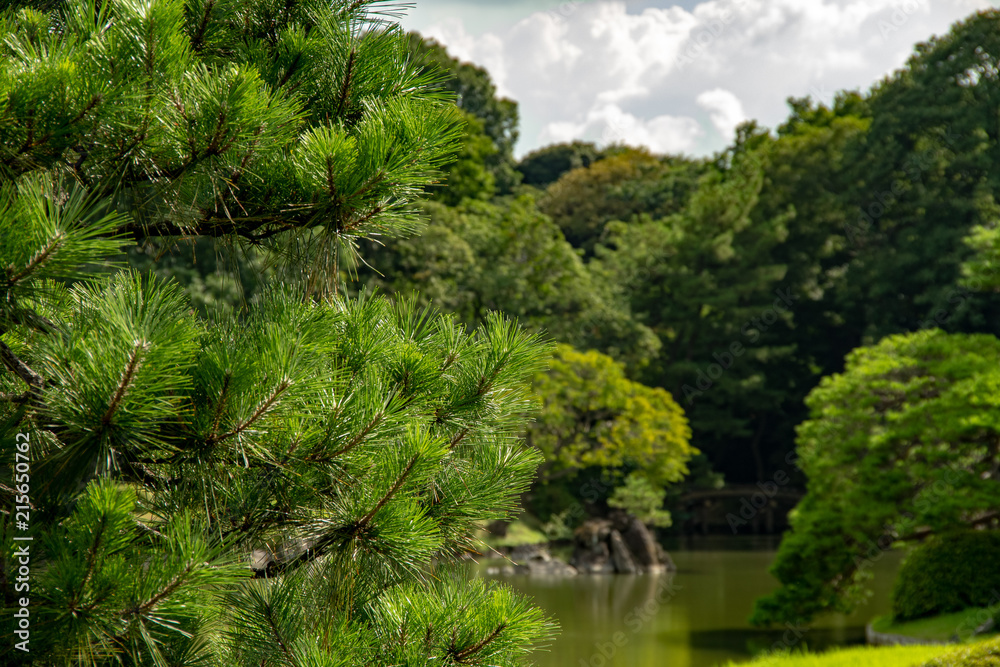 Obraz premium 公園