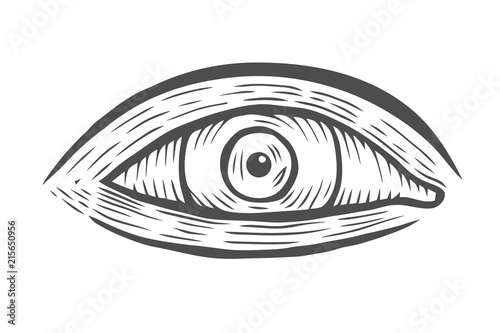 illustration of human eye