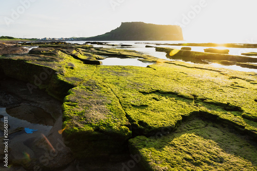 Volcano stones at sunrise at Ilchulbong volcano crater, Seongsan, Jeju Island, South Korea photo