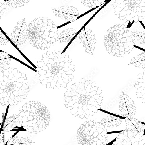 Fototapeta Naklejka Na Ścianę i Meble -  Dahlia Flower Outline Seamless Background