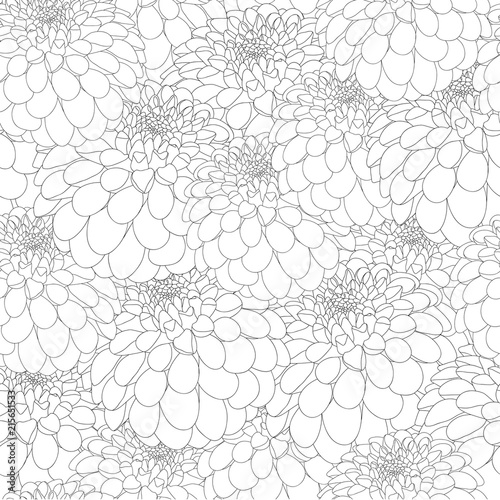 Fototapeta Naklejka Na Ścianę i Meble -  Dahlia Outline Seamless Background.