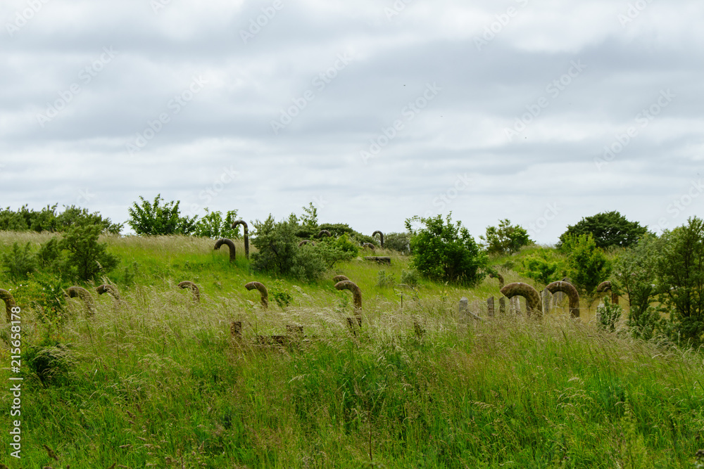 Fototapeta premium Ostseeinsel Rügen